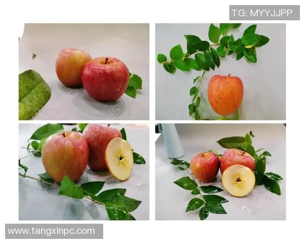 txg糖心果app-TXG糖心果APP—探秘甜品的数字化世界-txg糖心果app